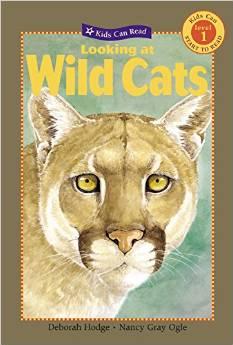 Looking at Wild Cats