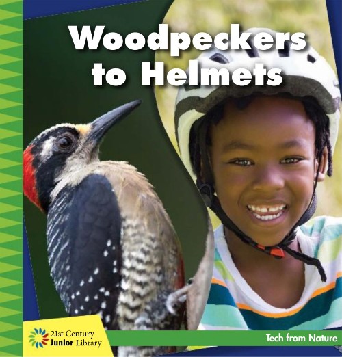 Woodpeckers to Helmets