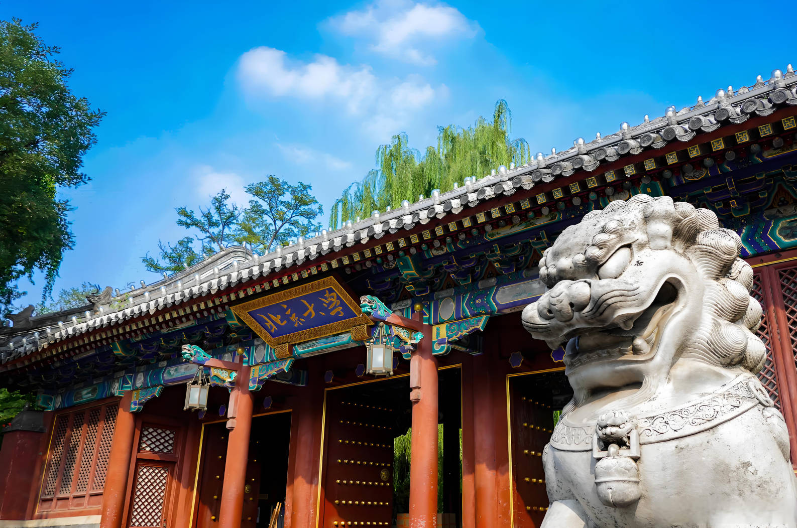 北京大学
